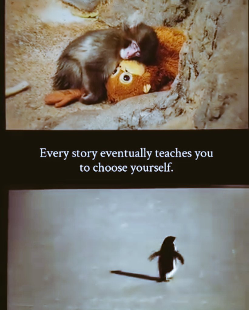 हर कहानी ने एक सबक दिया,
किसी के लिए खुद को मत खोना।
दुनिया साथ दे या ना दे,
पर खुद का साथ कभी मत छोड़ना।
टूटकर भी मुस्कुराना सीखा है,
अकेले चलना भी आता है।
अब आदत है खुद को चुनने की,
क्योंकि खुद से बढ़कर कोई नहीं होता।