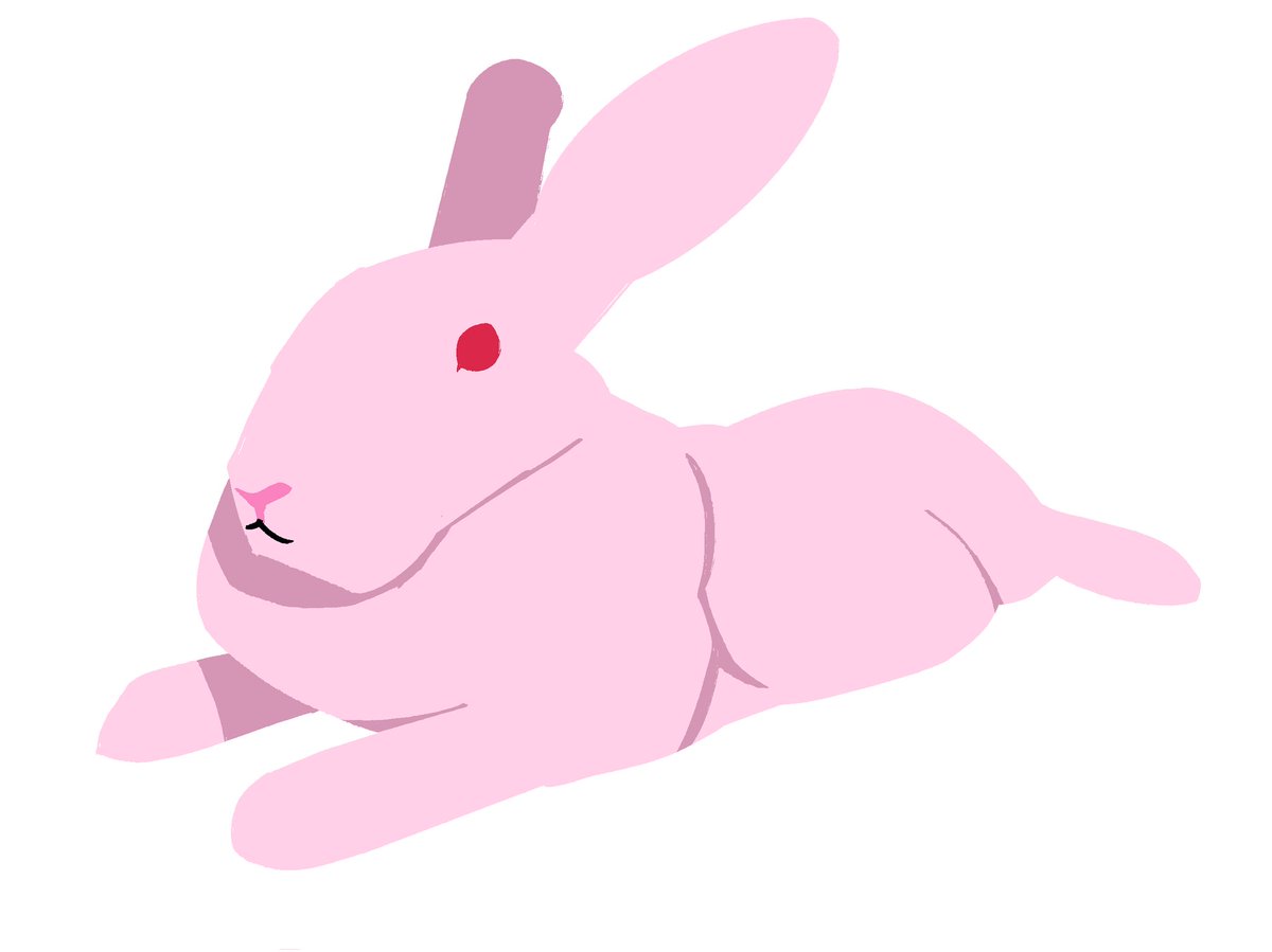 Your Pal, Apollo tweet media