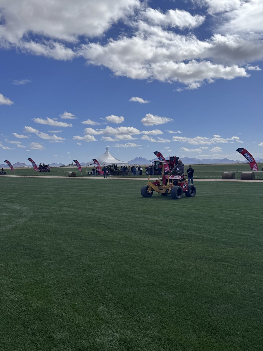 Modern Turf HQ tweet media