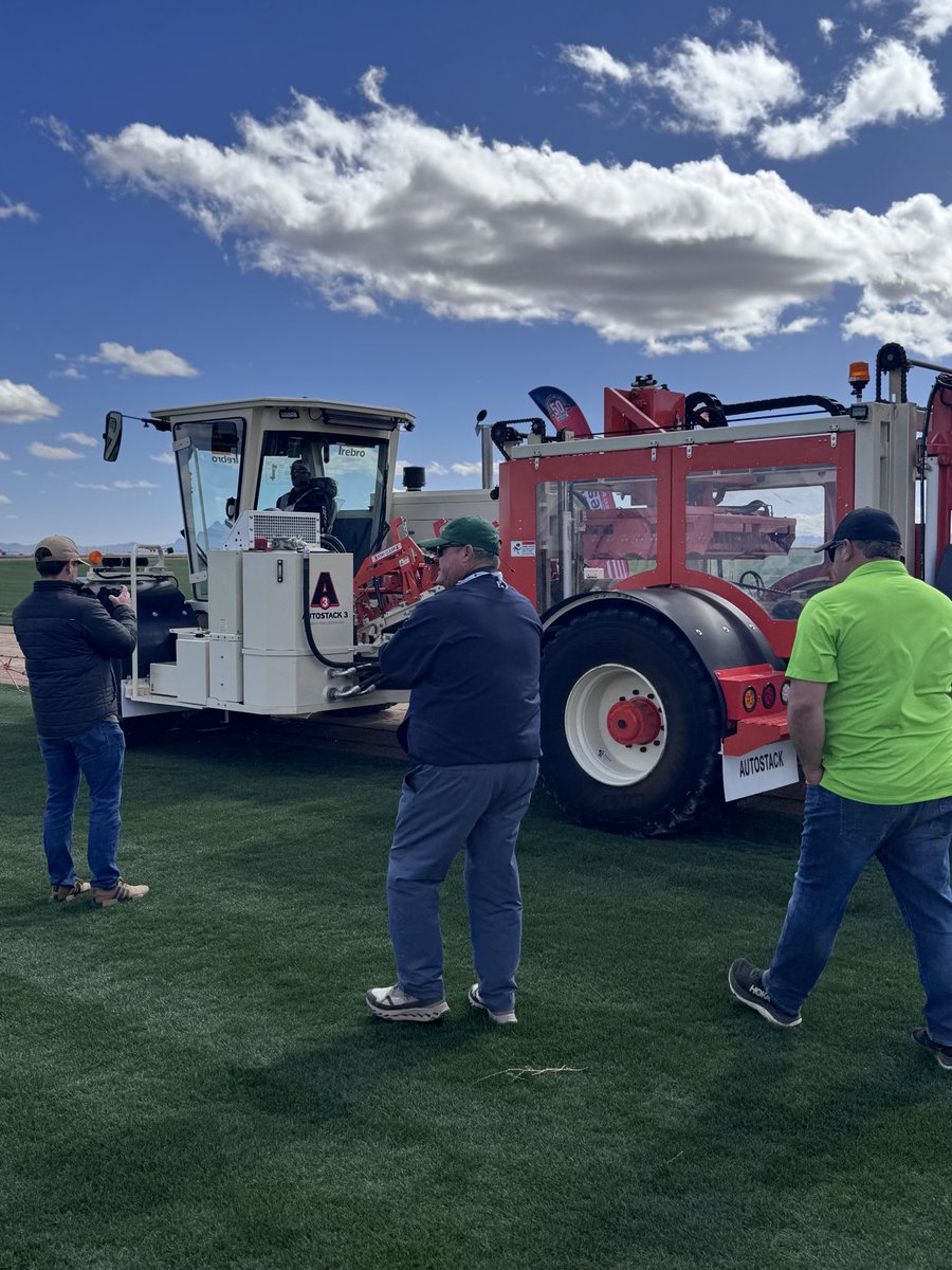 Modern Turf HQ tweet media