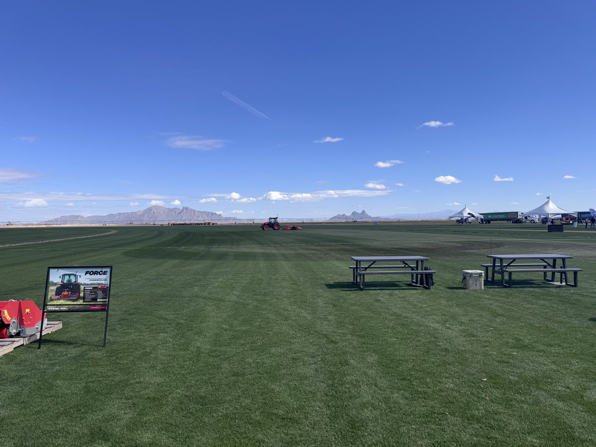 Modern Turf HQ tweet media