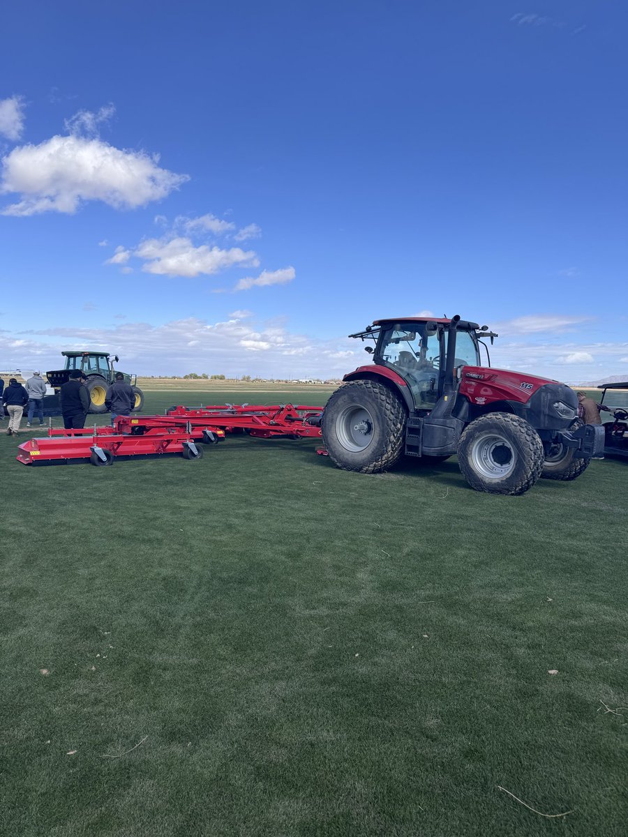 Modern Turf HQ tweet media