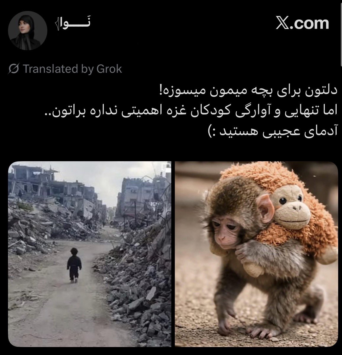 she1vin's tweet image. دلتون برای تنهایی و آوارگی کودکان غزه میسوزه اما کشته شدن ده ها هزار هم وطن توسط حکومتِ خود، اهمیتی نداره براتون !
موجودات مادرج‌ ای هستین !!