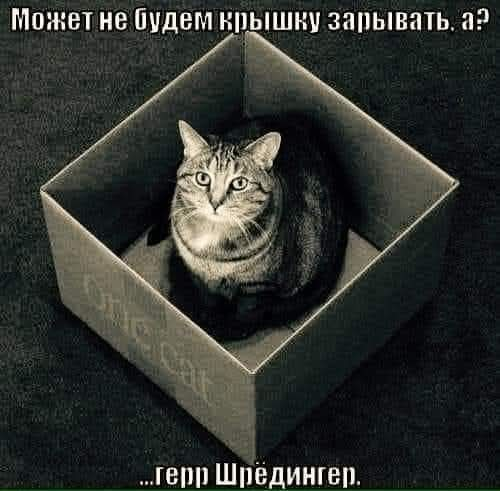 Белая Кошка 🇺🇦 (Розстріляна Весна) tweet media