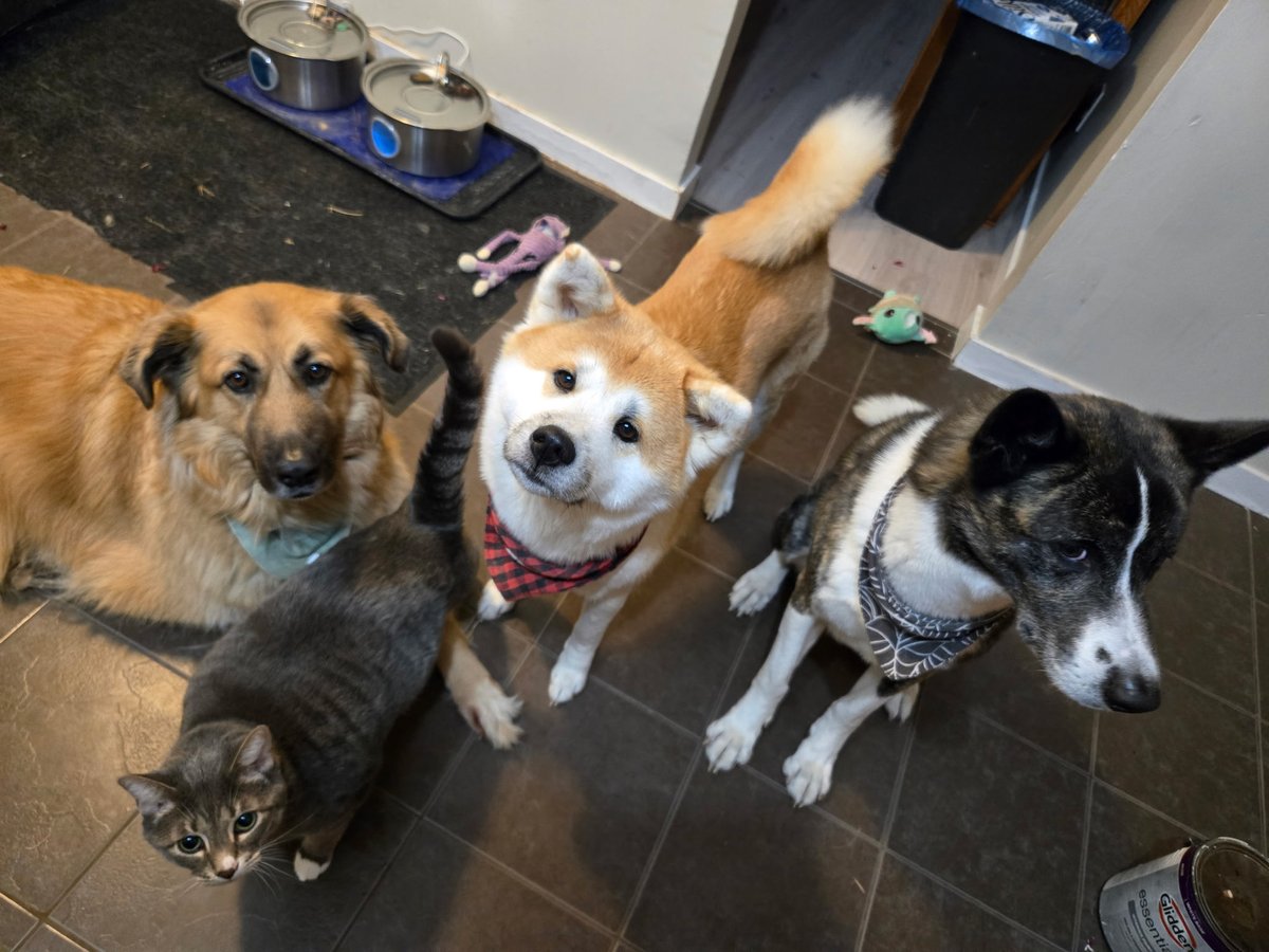 Don Moss tweet media