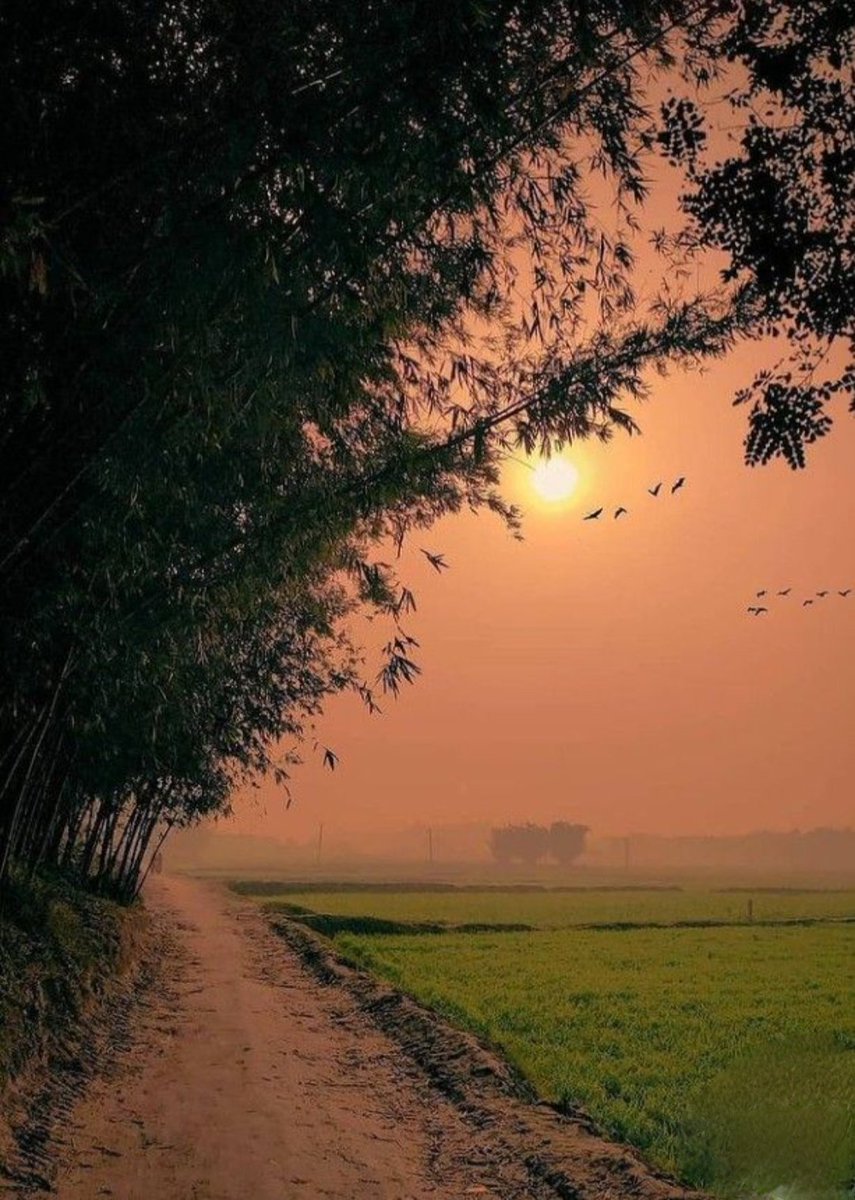 कभी दूसरों की बात सुनकर अपने रिश्ते खराब मत कीजिए, रिश्ते अपने होते हैं, दूसरों के नहीं!

Good morning x family 🌅✨