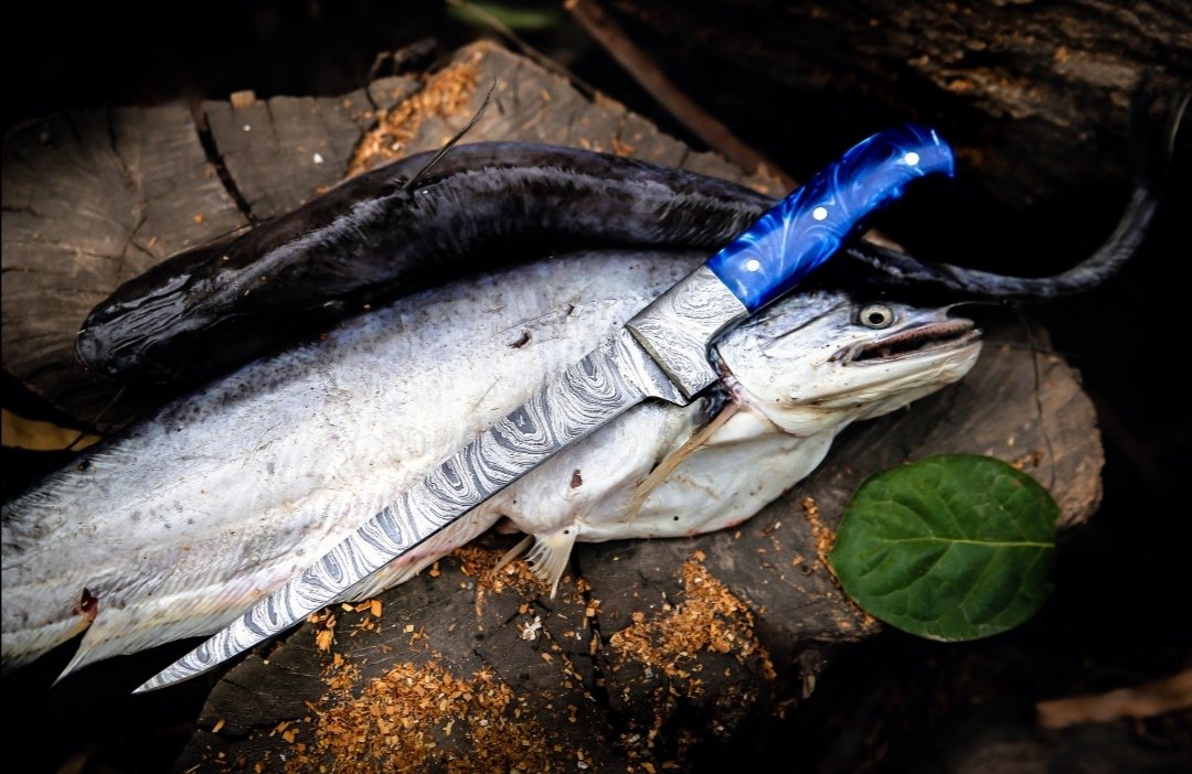 SharpededgeS's tweet photo. 🎣 Damascus Fillet Knife – Sharp, precise, and built to last.
Perfect for filleting, skinning &amp; trimming fish.
Comes with a leather sheath.
📩 DM to order now! #FishingGirl #FishingTheAbyss #Fillet #Knife  #huntingknife #customknife https://t.co/3FOxNVjBz0