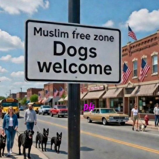 SaltyGoat17's tweet photo. Who supports this? https://t.co/3Tewh4TBbC