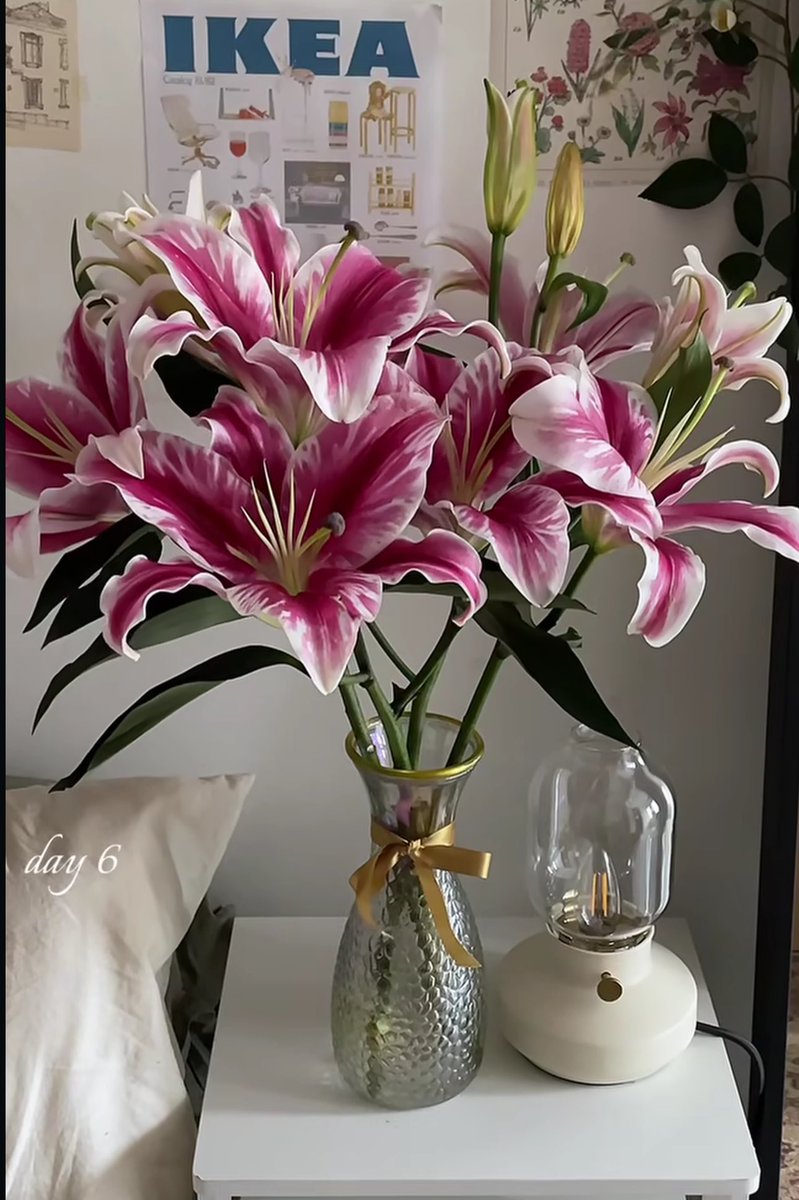 1 Day                                       6 Day