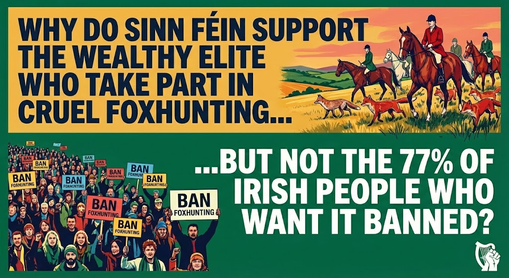 <a href="/sinnfeinireland/">Sinn Féin</a> <a href="/Donnchadhol/">Donnchadh Ó Laoghaire</a> Why does Sinn Fein support the 2% wealthy elite in Ireland who take part in fox hunting, but not the 77% of people in Ireland who want a fox hunting ban? What possible reason could Sinn Fein have? 🤔🤔 Money talks doesn't it? I mean, what kind of sadistic pervert loves to