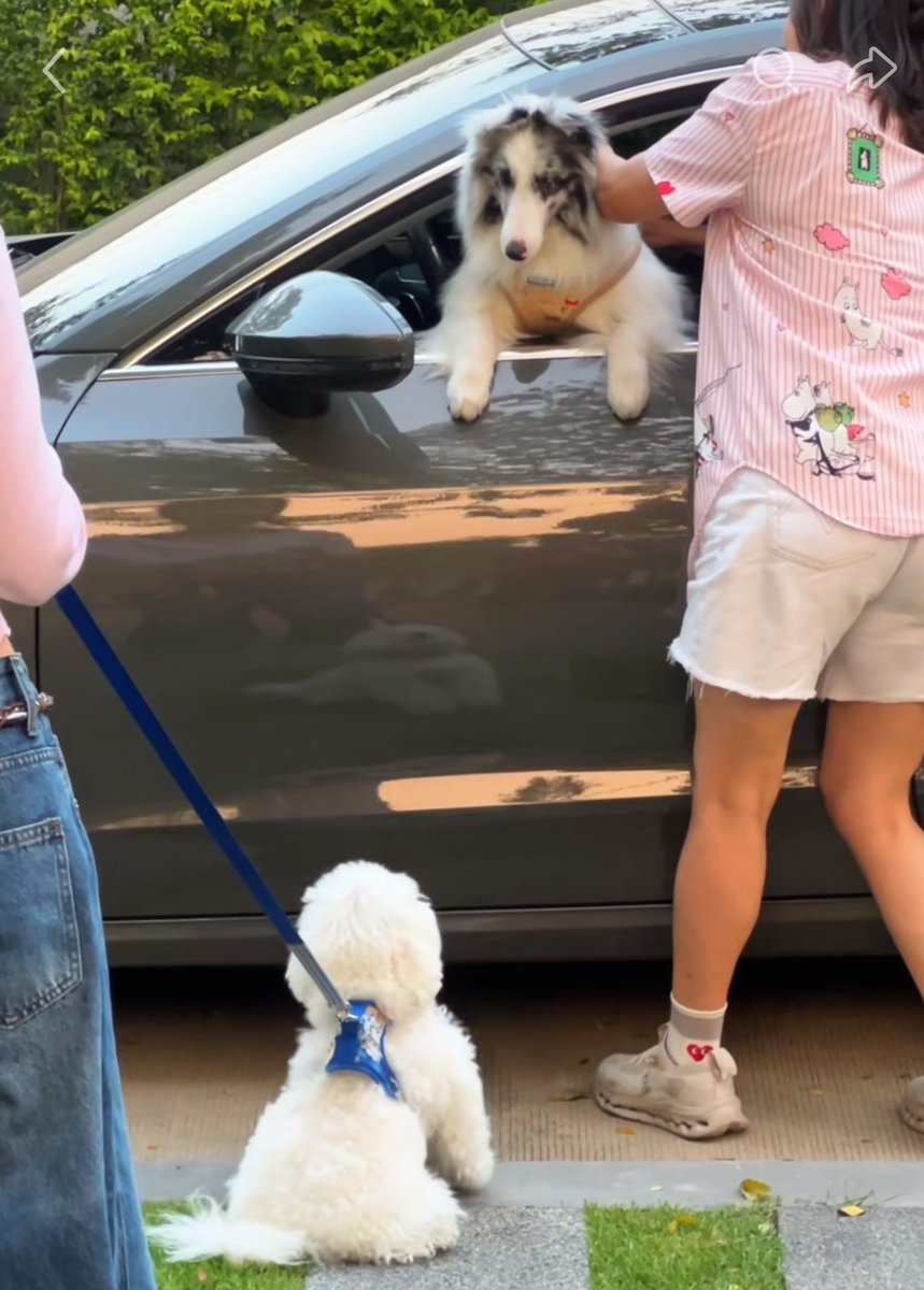 เจเนทมาเล่นกับเพื่อน น่ารักมาก