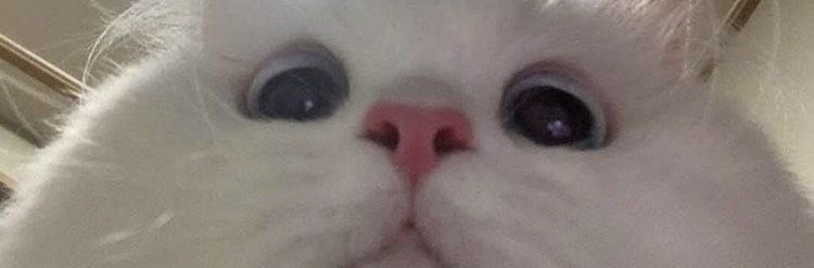 مـــاری tweet media