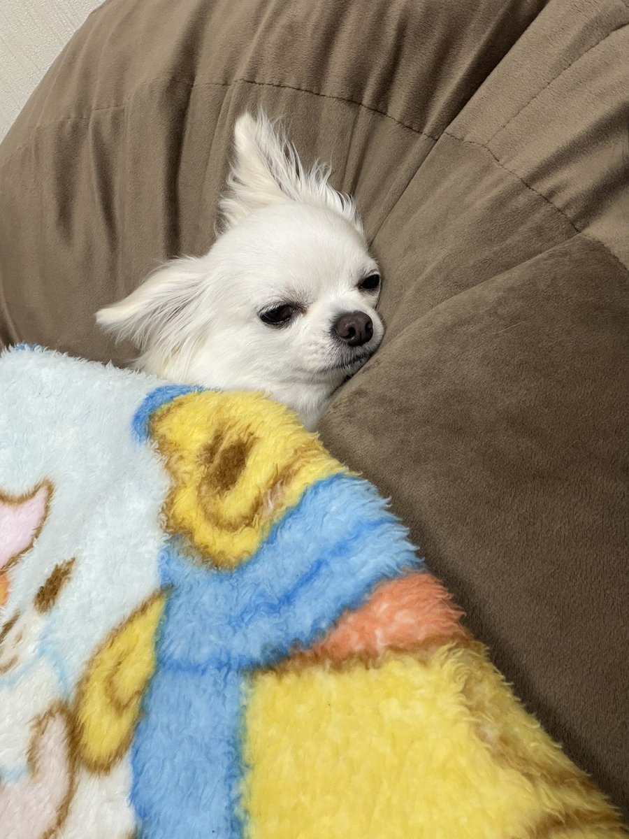 いまからお風呂入る