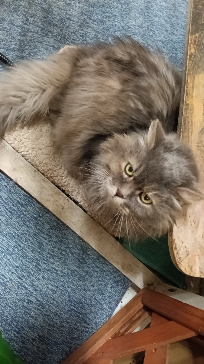 EditNet Printeq tweet media