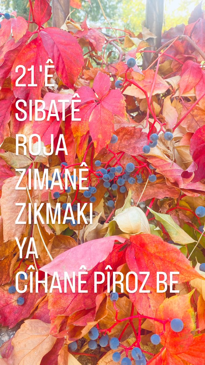21'Ê

SIBATÊ

ROJA

ZIMANÊ

ZIKMAKI
YA
CÎHANÊ PÎROZ BE.