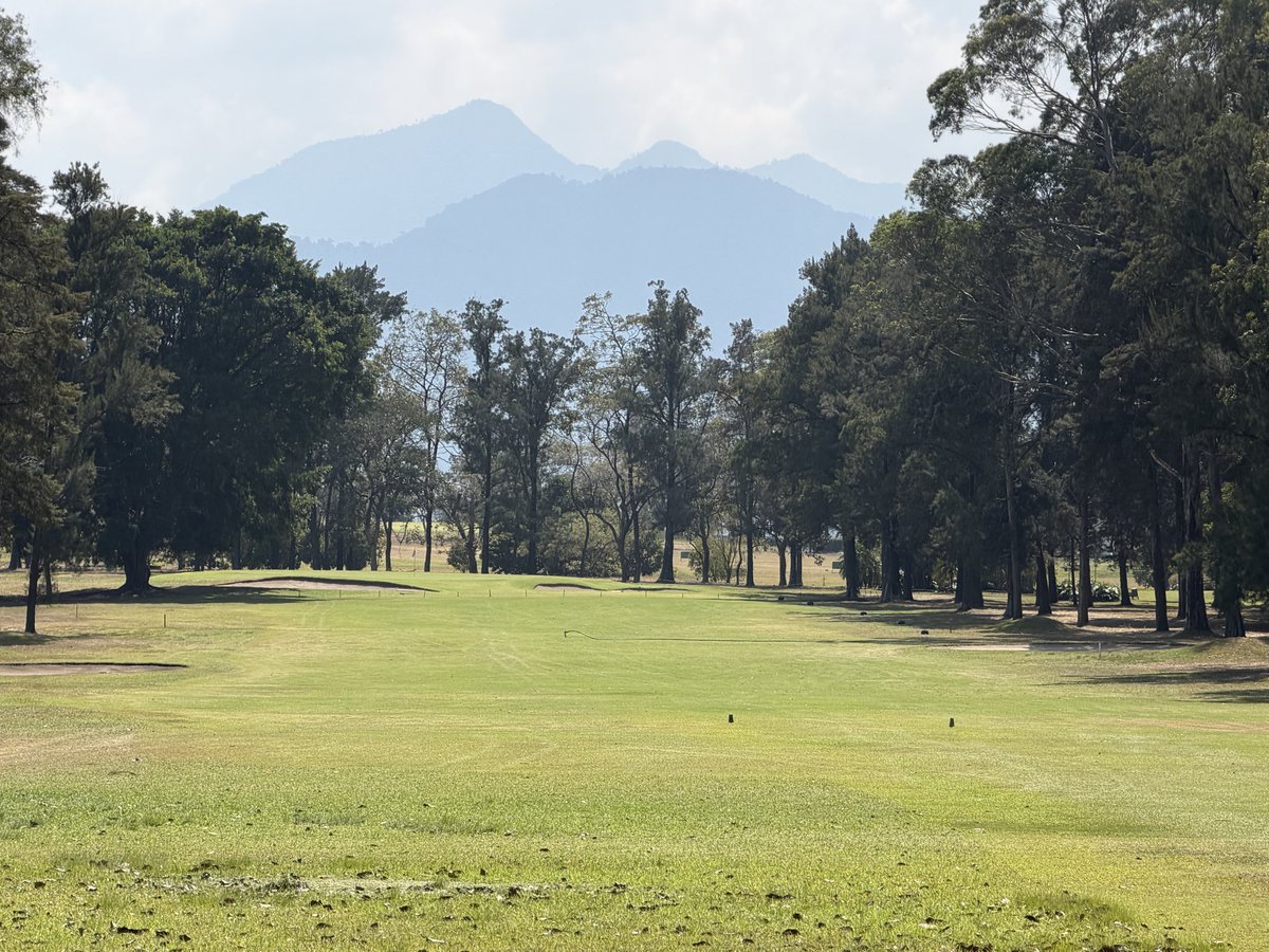 🔥butwouldya🔥 tweet media