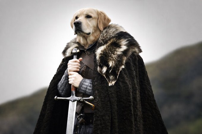 Some wait for confirmation
Some act on recognition
$BP rewards the ones who recognize first

Ca: 3B1ijcocM5EDga6XxQ7JLW7weocQPWWjuhBYG8Vepump