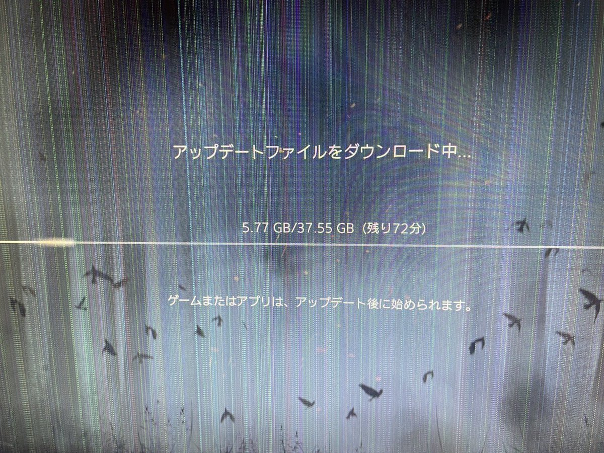 𝕤𝕚𝕚𝕚𝕚 tweet media