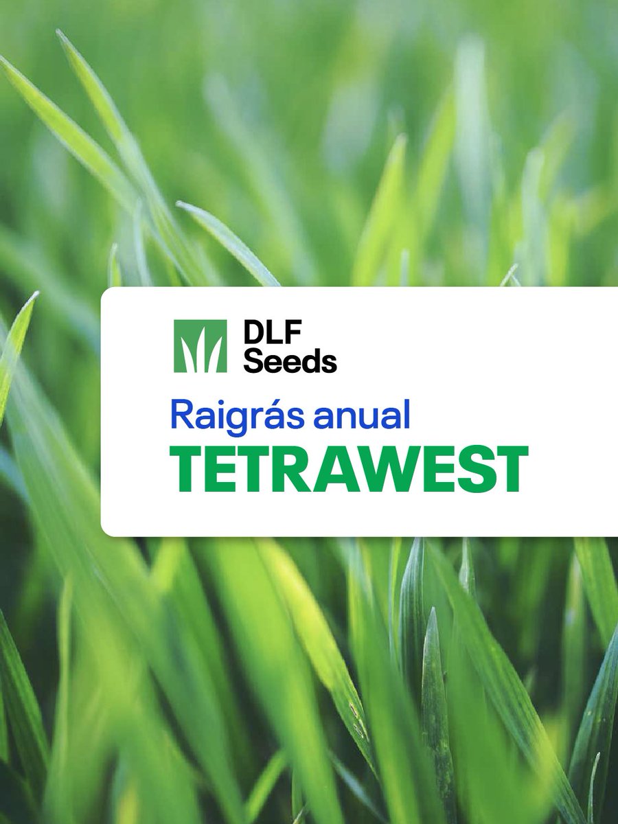 DLF Seeds tweet media