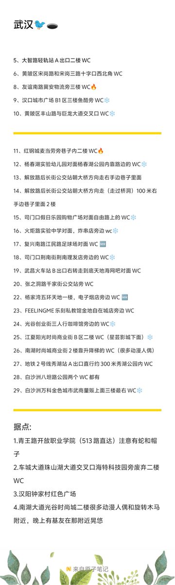 胖头鱼 tweet media