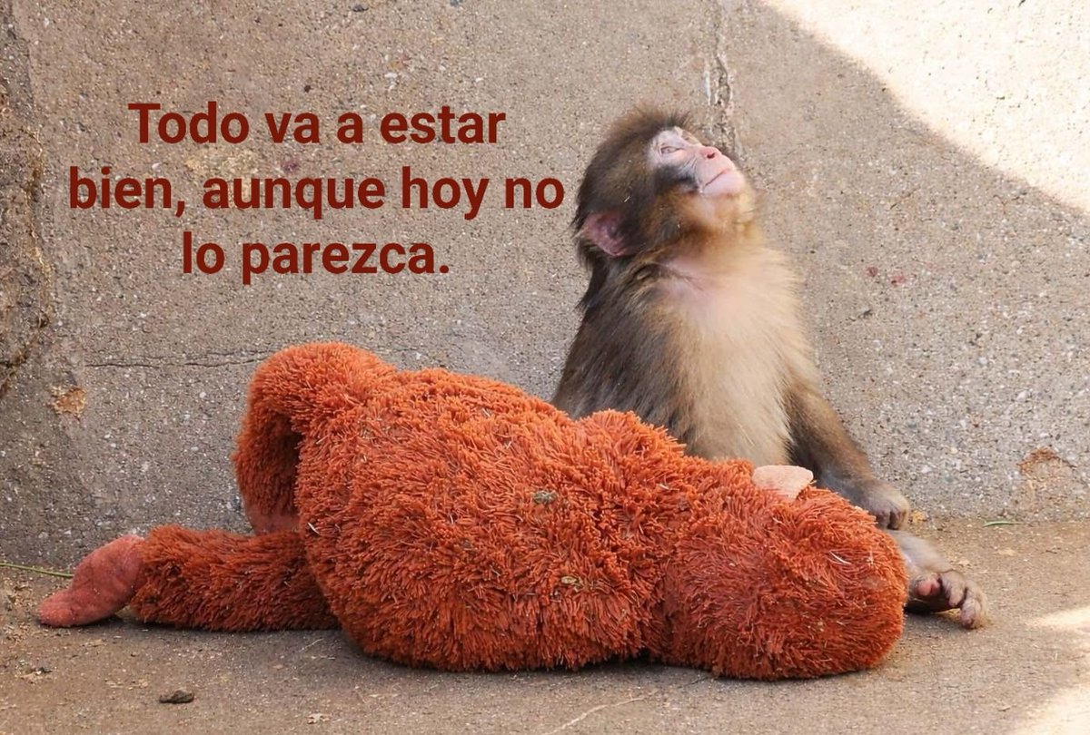 BANDIDOS (@bandidosfrasess) on Twitter photo 