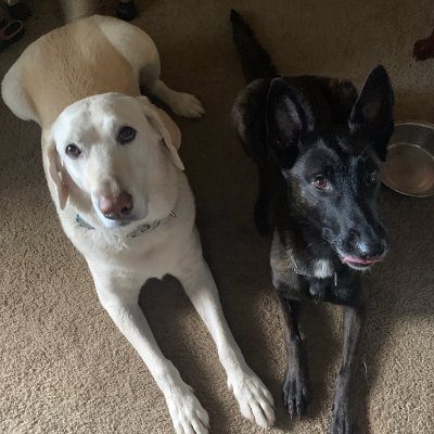 Bearwithme tweet media