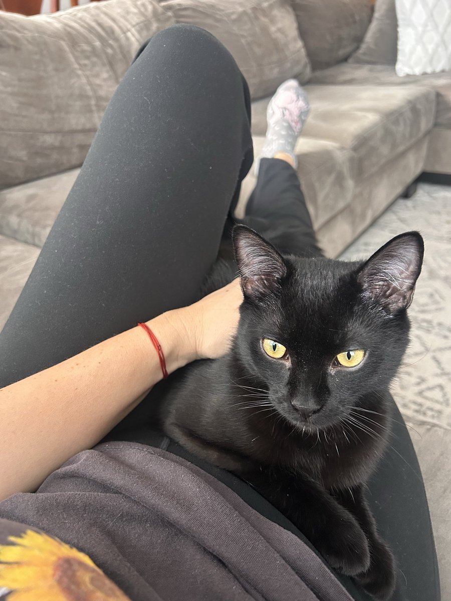 Moja mini crna pantera