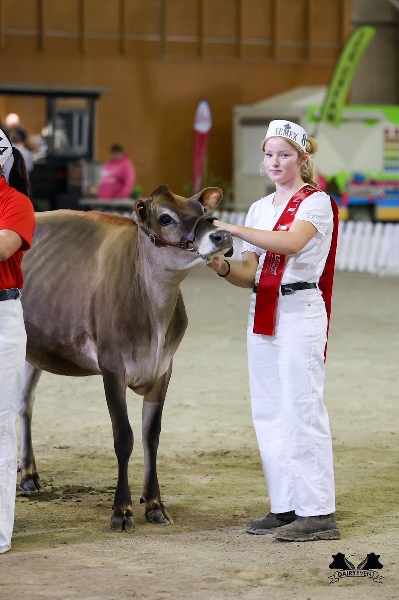 E Oliva (@emolivaoliva) on Twitter photo 