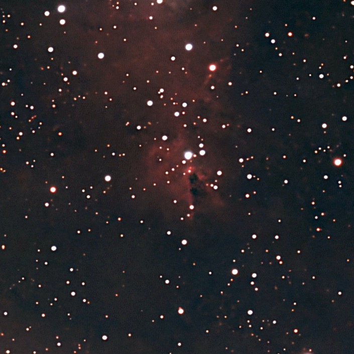 감별RuleOut tweet media