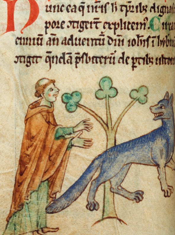 John Crotty tweet media