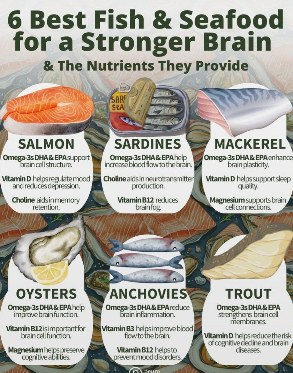 themedplan's tweet image. 🐟💡 Smarter, sharper, healthier! These 6 brain-boosting fish &amp;amp; seafood are packed with nutrients to keep your mind on point. Ready to upgrade your meals? 🧠✨ #BrainBoost #Omega3 #HealthyLifestyle #SeafoodLove #MentalClarity