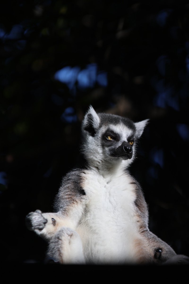 떨린다.. 내일출국도.. 모레콘서트도..