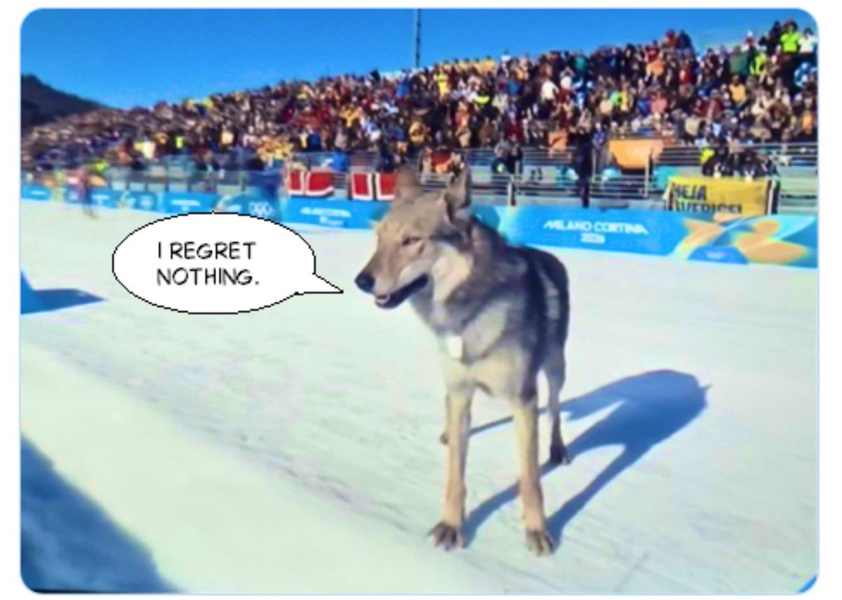 BirrelleBee's tweet image. Finally, we hear from him.