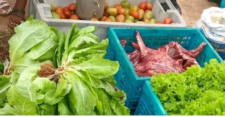 #Maisi continúa apostando por una #AgriculturaSostenible en favor del pueblo. 😏👉 Variadas son las ofertas de la Feria Agropecuaria en la localidad de la Máquina. #GenteQueSuma 
#CubaEstaFirme
<a href="/RadioMaisi/">Radio Maisí</a> <a href="/AdrielDeCuba/">@AdrielDeCuba</a> <a href="/Deguantanamo/">Mabel Guantánamo</a> <a href="/RadioGuantanamo/">Radio Guantánamo</a>