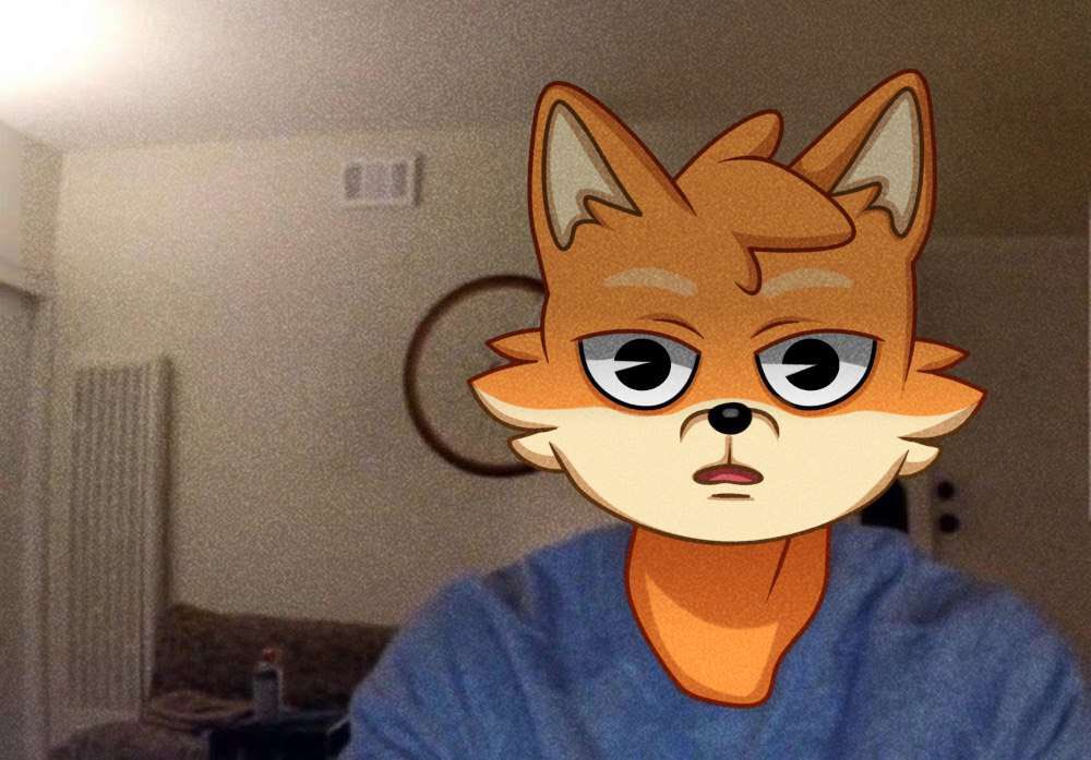 Furbo tweet media