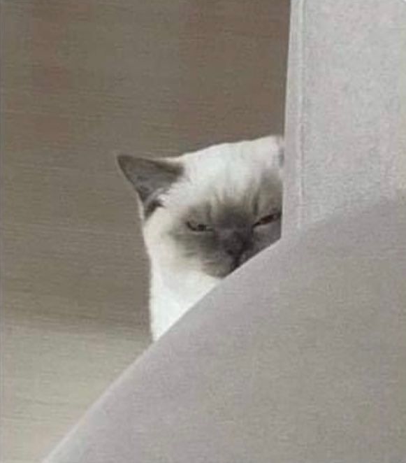 I can be your angel             Or your devil