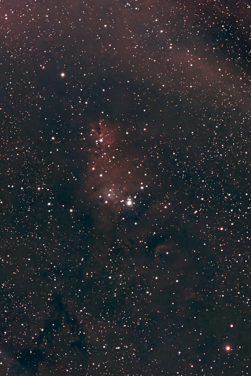 감별RuleOut tweet media