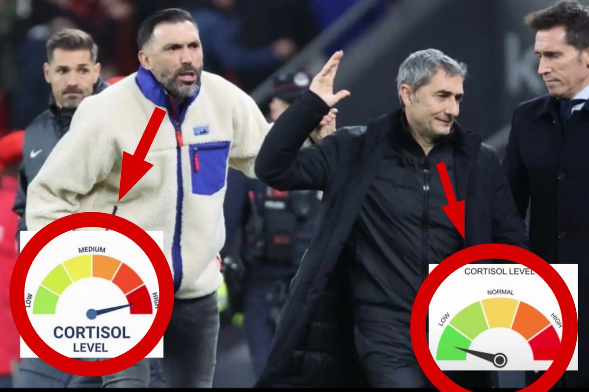 Cojon (@cojonbermeano) on Twitter photo 