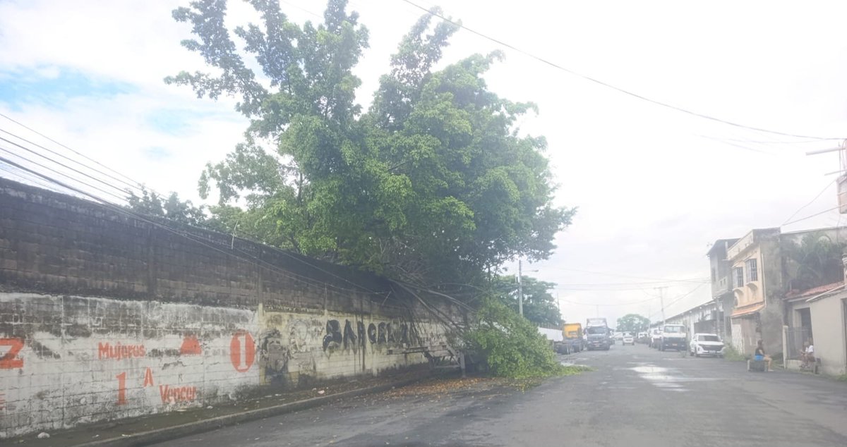 luisvillaoc's tweet photo. Sres @CNEL_EP @servicioscnelep el dia de ayer en horas de la mañana realicé un reporte por corte de energia en el sector # 1103909734, llevamos 24 horas sin emergia, llamo al 1800cnel mas de 15 min. y nadie responde, son 12 ctvs por minuto! @ARCONEL_Ec https://t.co/SnZDN4IRkt