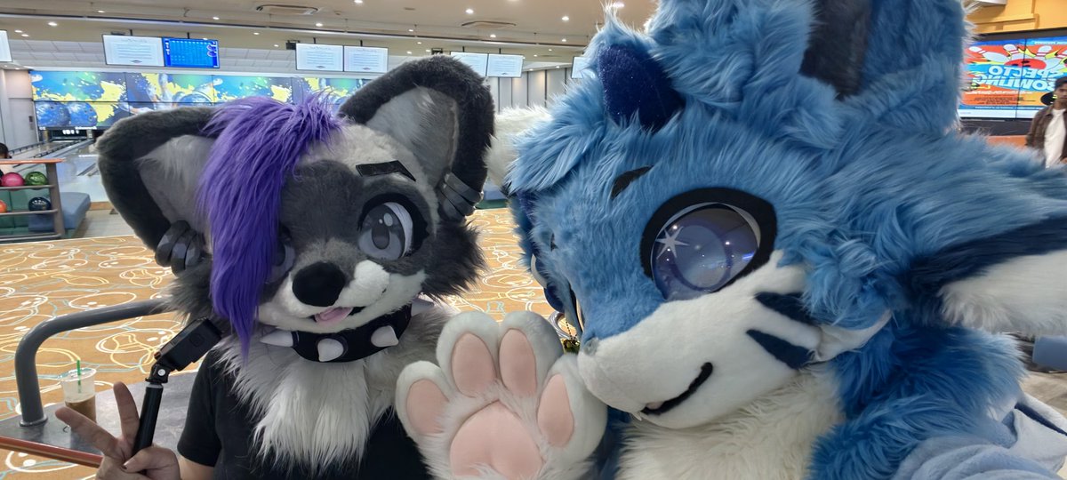 I am Pi ➡️ lifc2026 tweet media