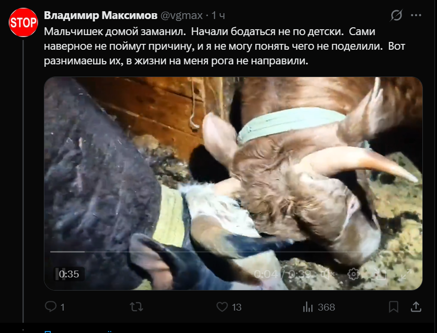 Alex Nöller tweet media