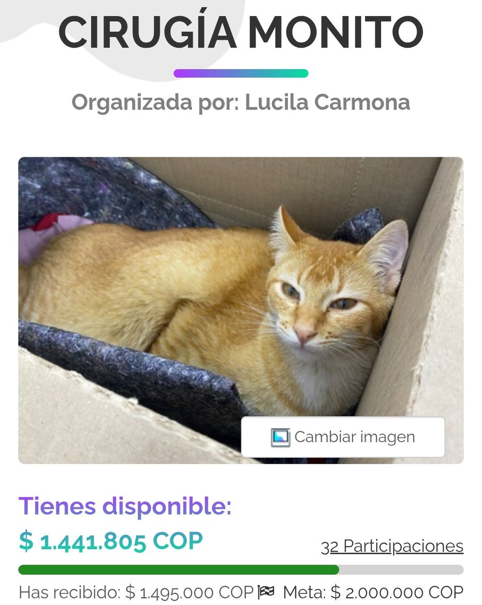 FundacionLucila's tweet photo. 🚨 MONITO NOS NECESITA 🚨

Antes del Lunes debemos reunir $2,000,000 y hasta el momento tenemos $1,441,000 🥹, ya casi lo logramos.

De verdad agradecemos cualquier ayuda, todo suma, no existe donación pequeña. 

Recuerden que abrimos una VACA 
👉🏼 
https://t.co/jR4SEdikTA 

En dónde estamos recolectando el dinero para la cirugía de Monito, si no lo logramos tendremos que tomar la dificil decisión de dejarlo ir.