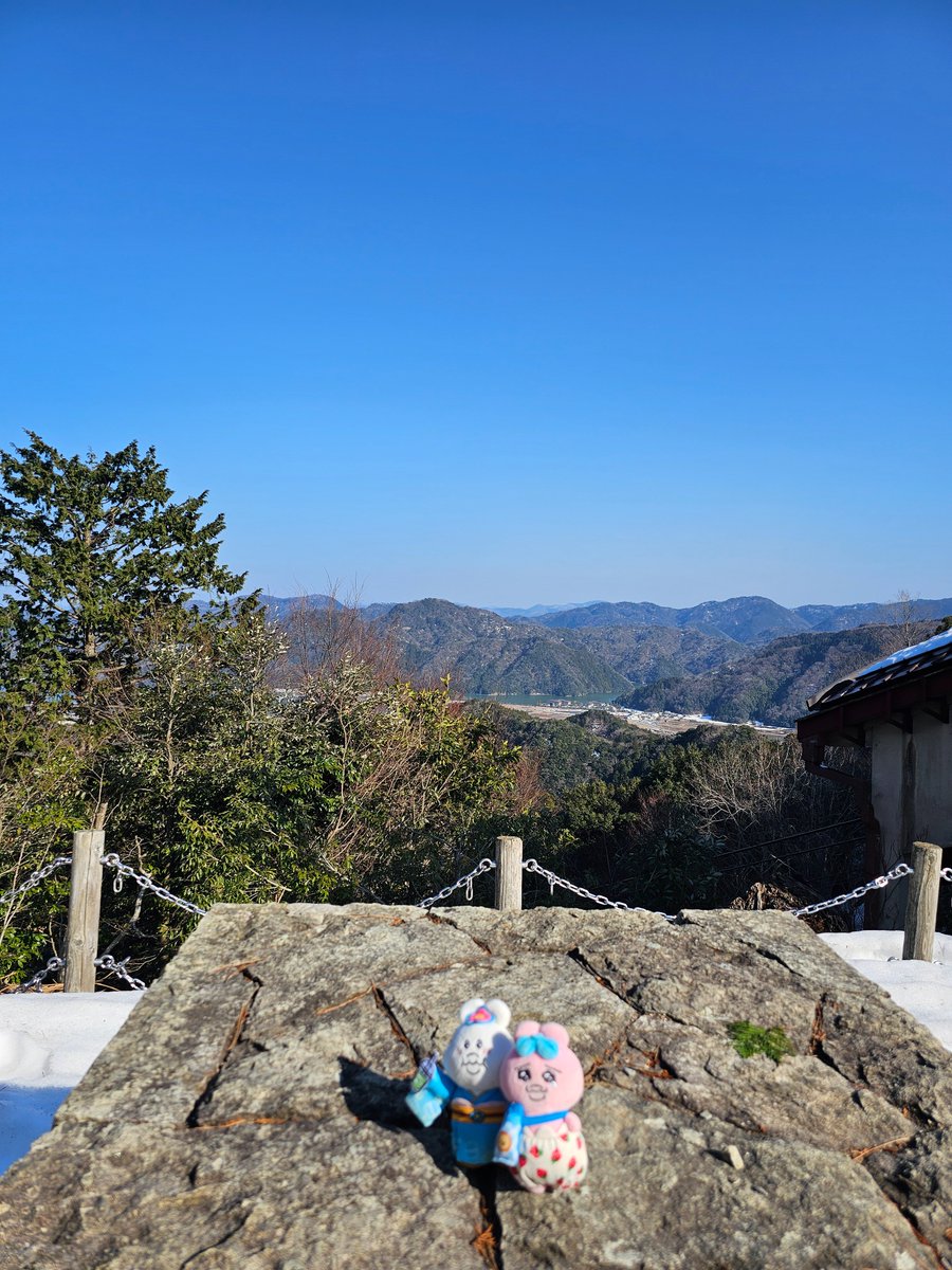 0802opa's tweet photo. 今日はみんなでお出かけキャンペーンで城崎温泉でちゅ✨
外湯、文芸館、海鮮丼、ロープウェイとちゃむり過ぎまちた🐰✨
約８時間の城崎温泉滞在でちたがあっという間でちた💦
楽しかったでちゅ🐰🩷 https://t.co/EJhvt5ewfp