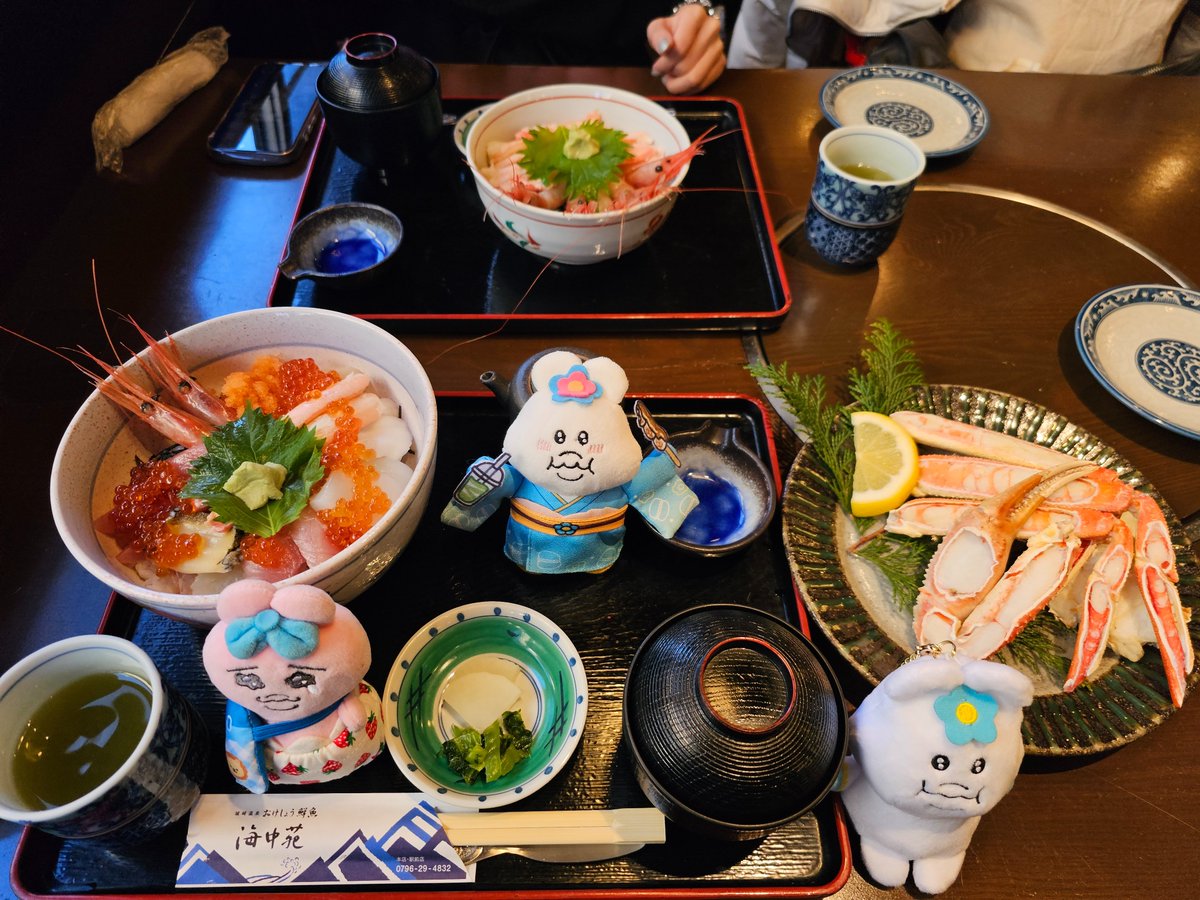 0802opa's tweet photo. 今日はみんなでお出かけキャンペーンで城崎温泉でちゅ✨
外湯、文芸館、海鮮丼、ロープウェイとちゃむり過ぎまちた🐰✨
約８時間の城崎温泉滞在でちたがあっという間でちた💦
楽しかったでちゅ🐰🩷 https://t.co/EJhvt5ewfp