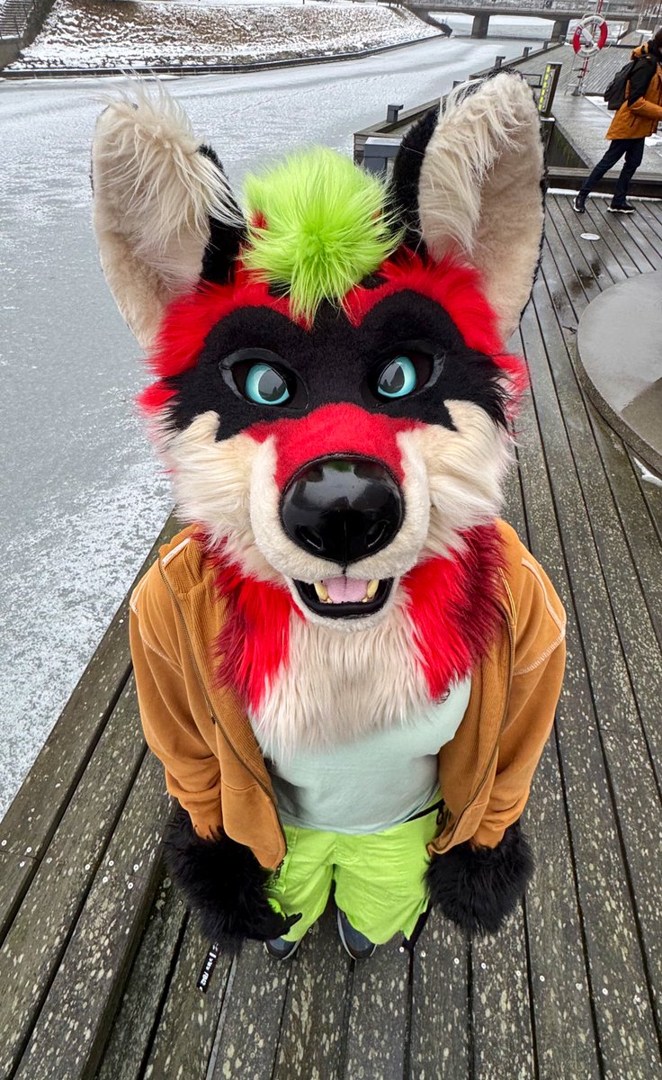 Ralfey 🔜 Japan 🔜 EF tweet media