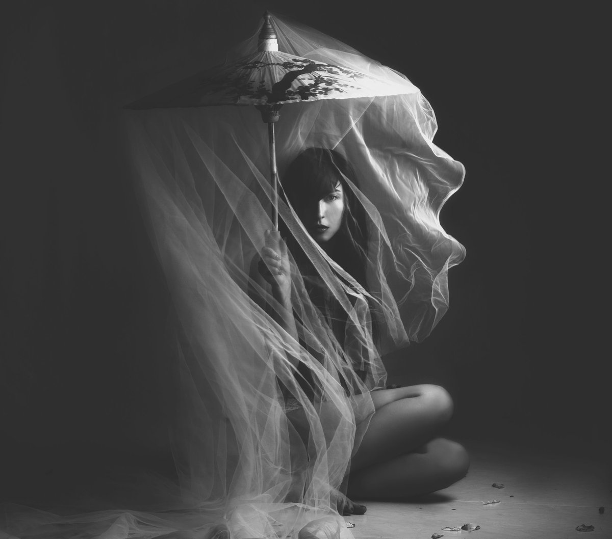 .Kitsu.Sun tweet media