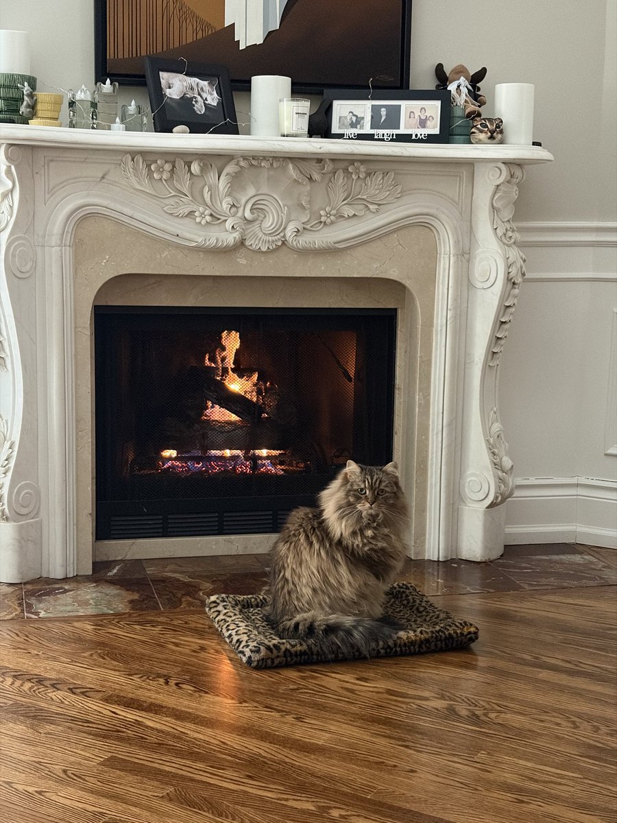 Sandra Buckler tweet media