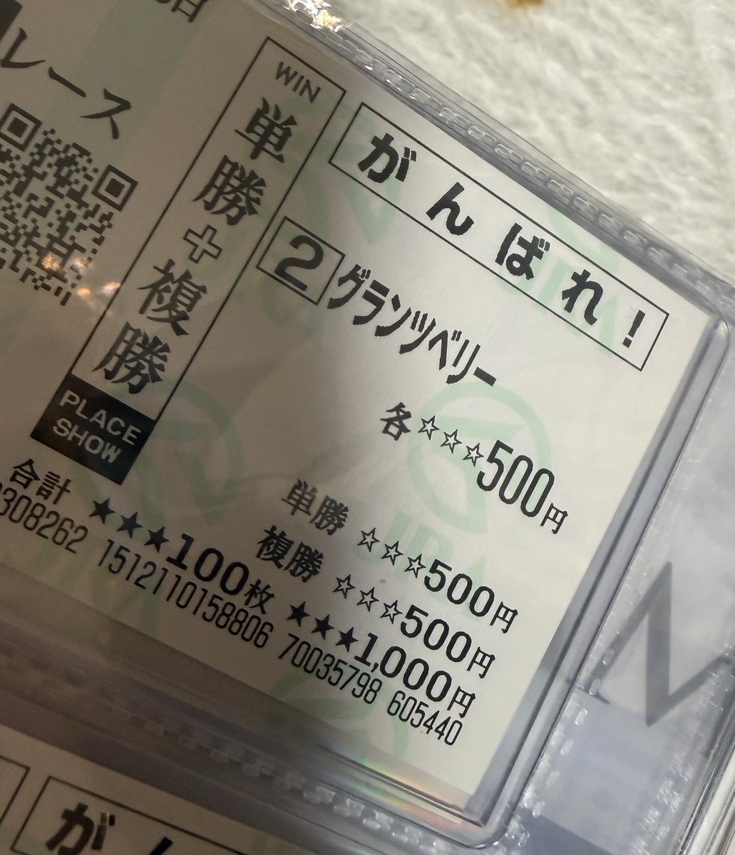 初めての出走で応援馬券を奮発しすぎるやつ。 (この他にも3枚ある)