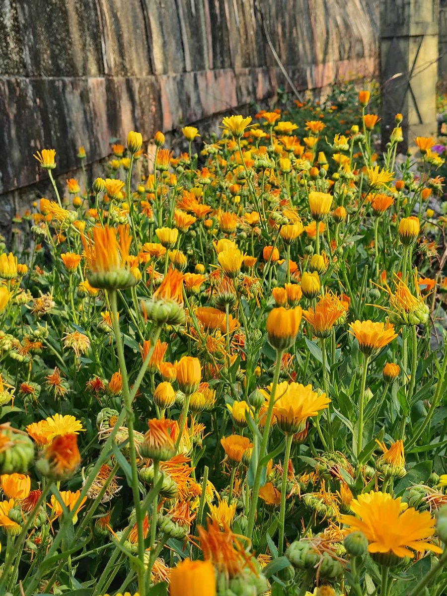 उदयपुर नगर निगम आयुक्त अभिषेक खन्ना के निर्देश पर शहर के छोटे पार्कों में नवाचार किया गया।अरावली वाटिका, गुरु गोबिंद सिंह पार्क व हेडगेवार पार्क में फुलवारी, वैज्ञानिक छंटाई,हरी-भरी घास और स्वच्छ पाथवे विकसित हुए।ये पार्क पर्यटकों का आकर्षण बनकर उदयपुर पर्यटन को बढ़ावा दे रहे है।