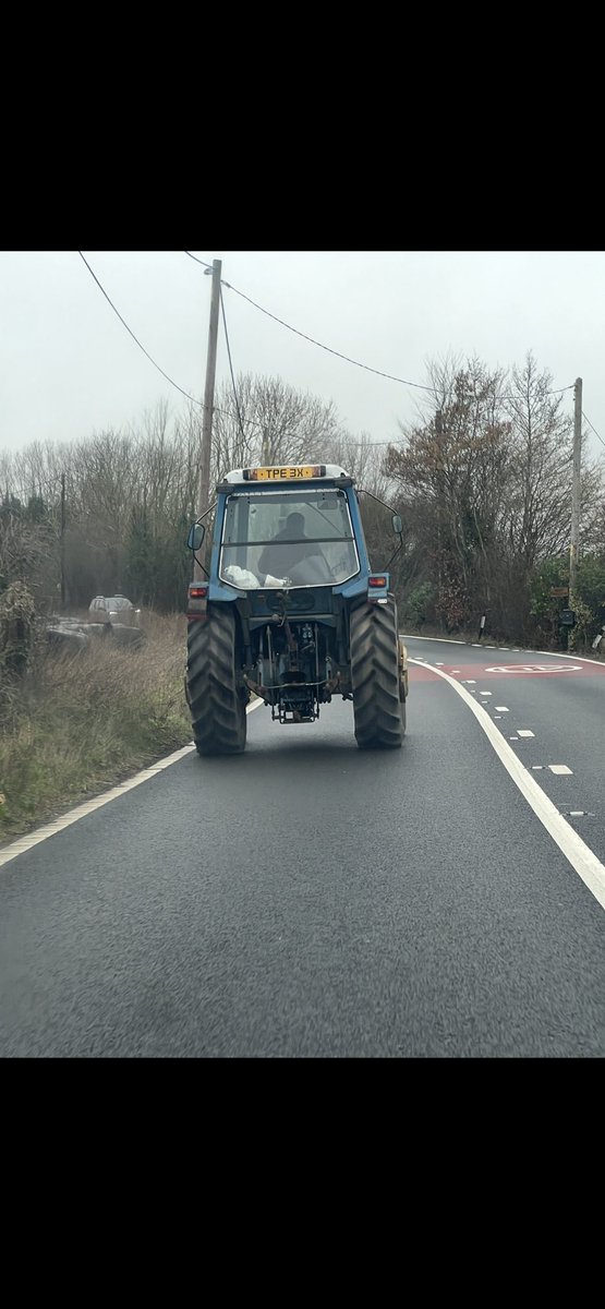 Ian Abrahams (Moose) tweet media